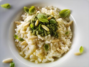 Risotto with pesto sauce and pine nuts