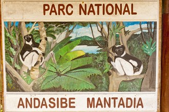 Sign depicting lemurs in the jungle
