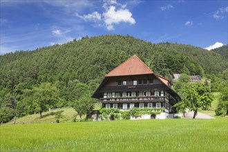 Traditional house in the Gutachtal valley