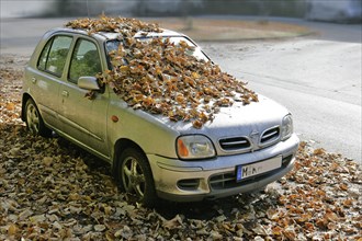 Nissan car covered in autumn leaves