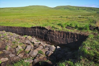 Cut peat in a bog on the Trotternish Peninsula