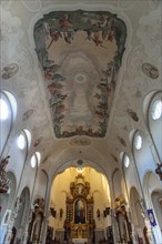 Ceiling frescoes and choir