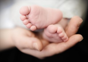 The feet of a baby are lying in the hand of the mother