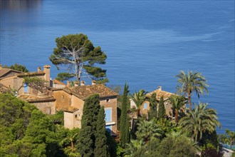 Houses by the sea