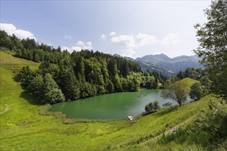 Seewaldsee lake near Fontanella
