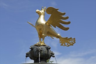 Golden Imperial Eagle