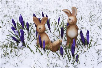 Brown ceramic Easter Bunnies
