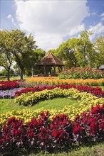 Gazebo and floral displays of red cockscomb (Celosia)