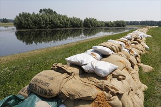 Sandbags protecting a dike along the Elbe against floods