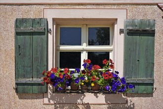 Flowers at the window of a farm house
