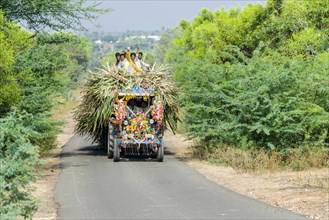 A tractor is transporting sugar cane