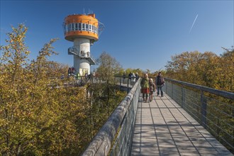 Treetop walk with observation tower