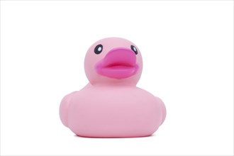 Pink rubber ducky