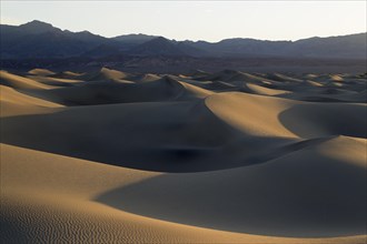 Mesquite Flat Sand Dunes in the early morning
