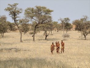 Bushmen in the Kalahari Desert