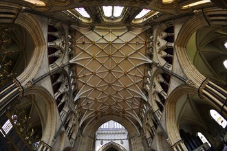 The late Gothic net vault of York Minster