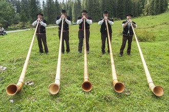 Group of alphorn players performing on a meadow in Justistal valley