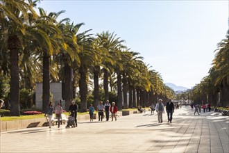 People walking along the Palm Promenade