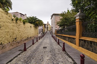 Street in La Orotava