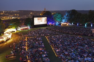 Open-air cinema in the castle courtyard