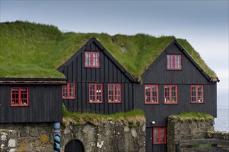 Houses with a grass roof
