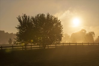 Sunrise with morning mist over meadows and pastures