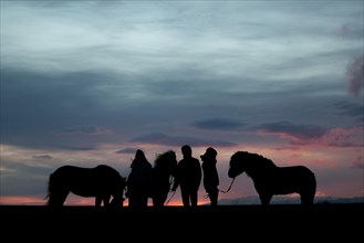 Three Icelandic horses and three riders standing next to each other at sunset