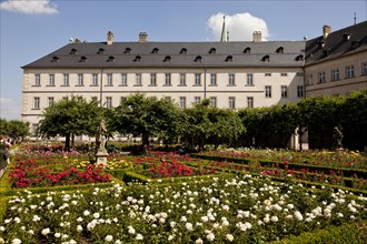 Rose garden of the Neue Residenz