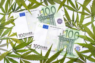 One-hundred euro bills and marijuana leaves