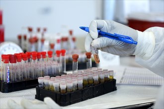 Lab technician with blood samples in a laboratory