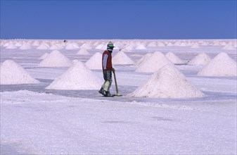 Labourer working at saltworks