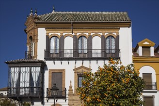 Andalusian style residence and Bitter or Seville Orange (Citrus x aurantium)