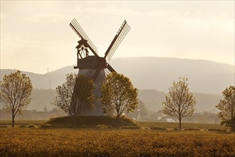 Windmill Veltheim