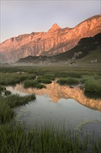 The rocks of the Sagzahn and Sonnwendjoch reflected in a high moor