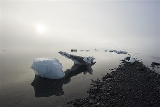 Beached icebergs and fog at Pakenham Point