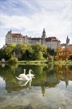 Swans in front of Schloss Sigmaringen Castle