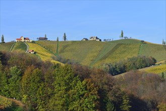 Typical landscape with vineyards in the Southern Styrian hill country