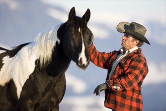 Cowboy with an American Paint Horse stallion
