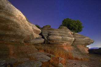 Limestone rocks