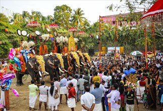 Hindu temple festival with many elephants