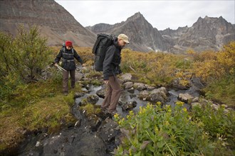 People hiking in arctic or subalpine tundra