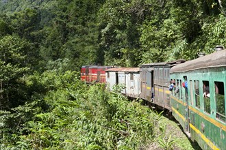 Vintage train traveling through jungle