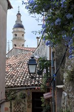 Alley with flowers