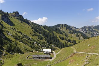 Kleintiefental alpine pasture