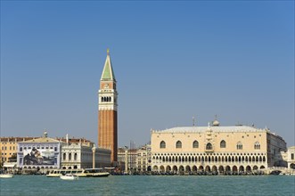 Campanile and the Doge's Palace