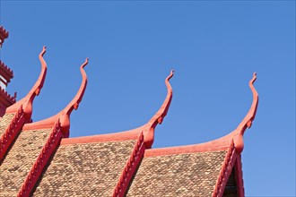 Detail of the multi-tiered roof of the National Museum building