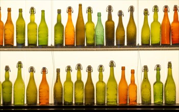 Collection of old beer bottles