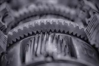 Gears of a transmission