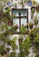 Corner with many potted plants and a cross