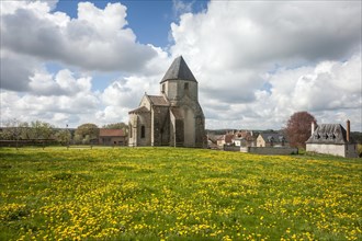 A field of bright yellow dandelion (Taraxacum officinale) flowers in front of old stone church Eglise Sainte-Valerie de Malval